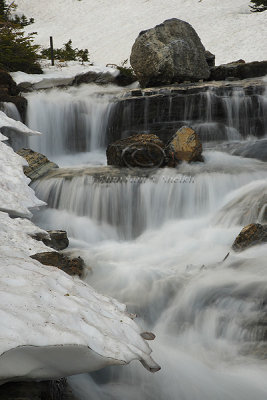 0C9K1741 Logan's Pass WF July2-08.jpg