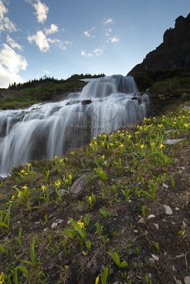 IMG_1330GNP Logan's Pass.jpg