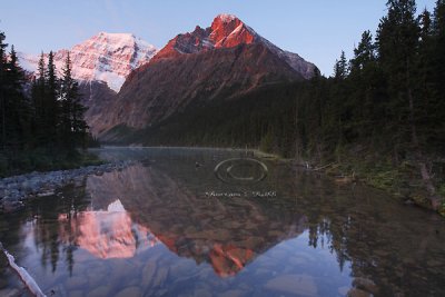 _MG_1711 Jasper - Sept 08.jpg