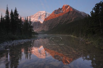 _MG_1729 Jasper - Sept 08.jpg
