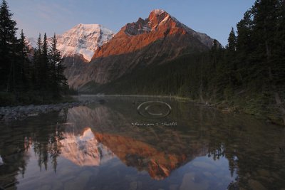 _MG_1742 Jasper - Sept 08.jpg
