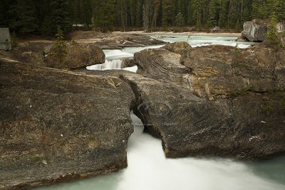 0C9K9725Banff & Yoho May 08.jpg