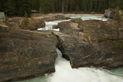 0C9K9731Banff & Yoho May 08.jpg