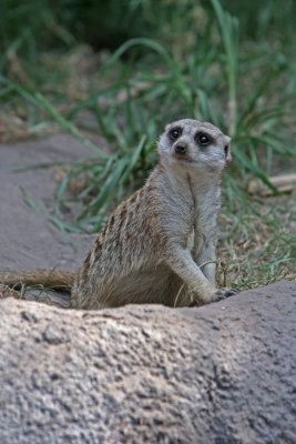 Always alert.jpg