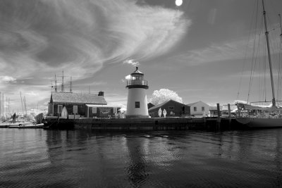 IMG_2115.jpg
