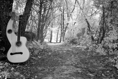 Harp Guitar meets the woods. Infared