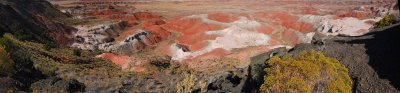 Painted Desert and Petrified Forest