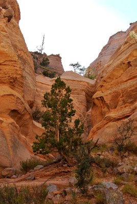 Tent Rocks
