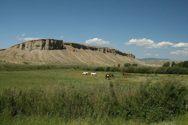 Horses and Buttes
