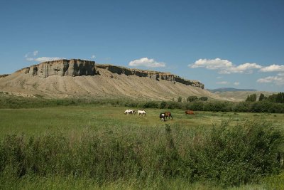 Horses and Buttes