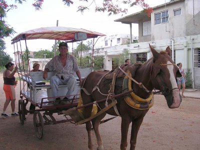 Horse Taxi - Jaguey Grande, Matanzas