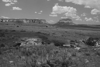 Pawnee National Grasslands -BW