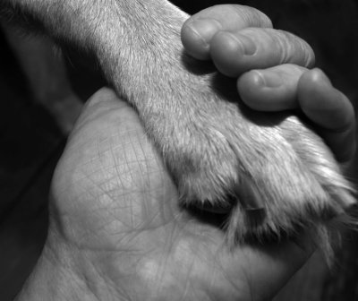 _DSC0022bw.jpg