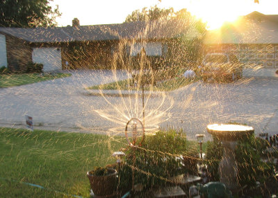 Sprinkler Frozen in Sunlight