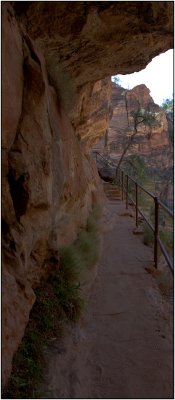 The Canyon Overlook Trail