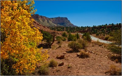 Fall Colors