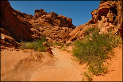 A Trail in Valley of Fire State Park