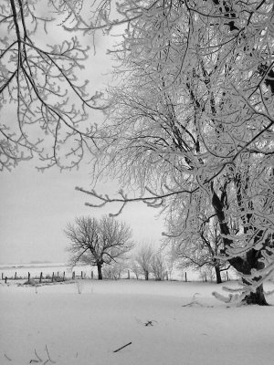 Iowas Winter.jpg