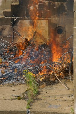 Burn pile in Battery Hunter gun emplacement