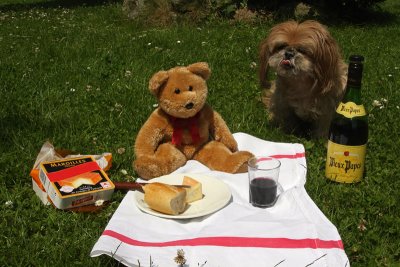 Picnic with unexpected guest....