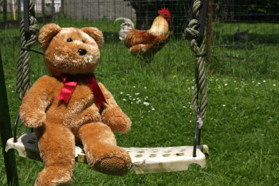 Garden swing