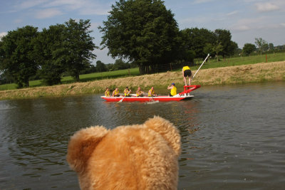 Joutes nautiques