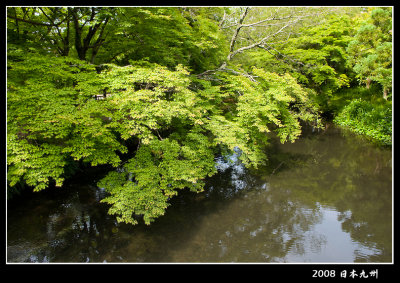 DSC_0519-365.jpg