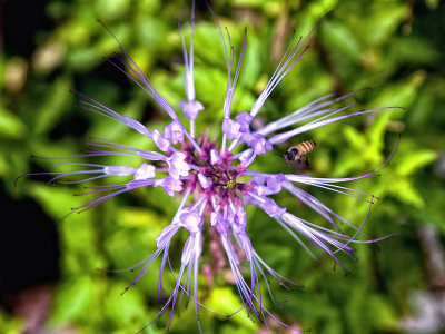 P7198895 copy.jpg