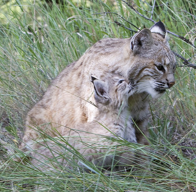 Mom and Baby