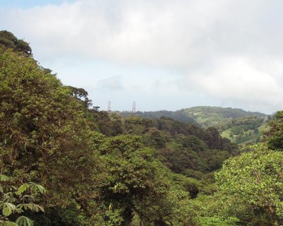 Cloud walk at Monteverde