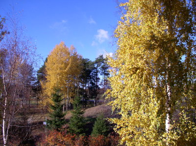 Oulu in autumn
