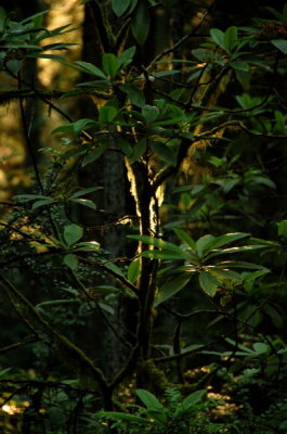 DSC_3232.jpg