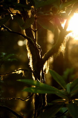 DSC_3234.jpg