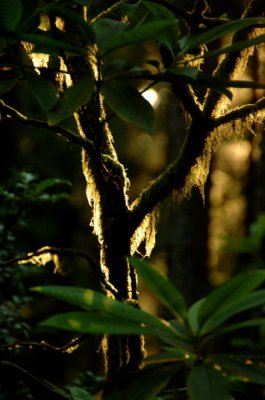 DSC_3235.jpg