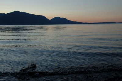 DSC_3289.jpg