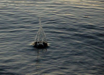 DSC_3316.jpg