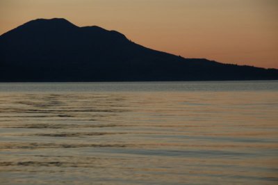 DSC_3321.jpg