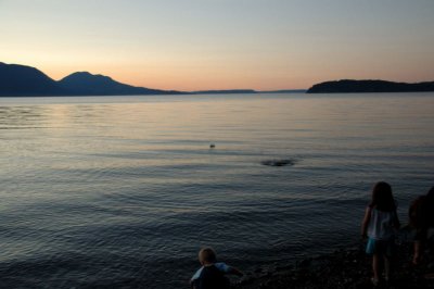DSC_3345.jpg