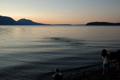DSC_3346.jpg