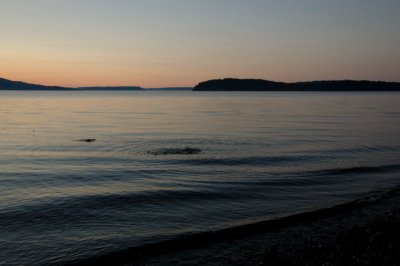 DSC_3354.jpg