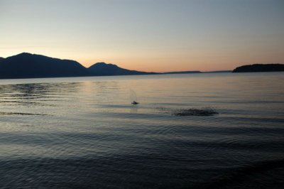 DSC_3355.jpg
