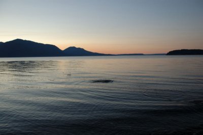 DSC_3356.jpg