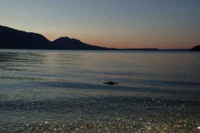 DSC_3365.jpg