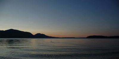 DSC_3371.jpg