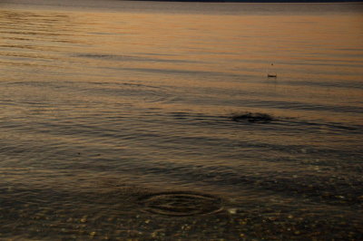 DSC_3378.jpg