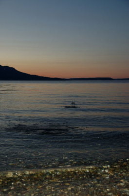 DSC_3380.jpg