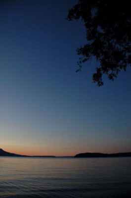 DSC_3401.jpg