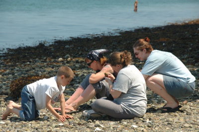 DSC_3426.jpg