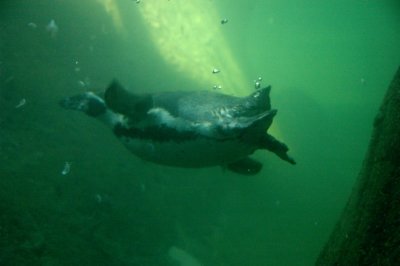 DSC_3714.jpg