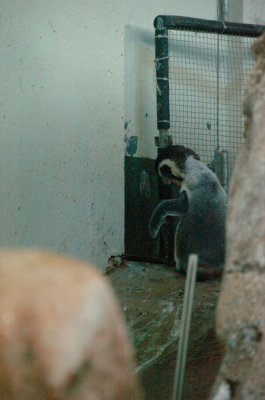 DSC_3721.jpg